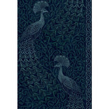 COLE & SON 116/8028.CS.0 PAVO PARADE M PETROL/INK Wallpaper - Eade's Wallpaper