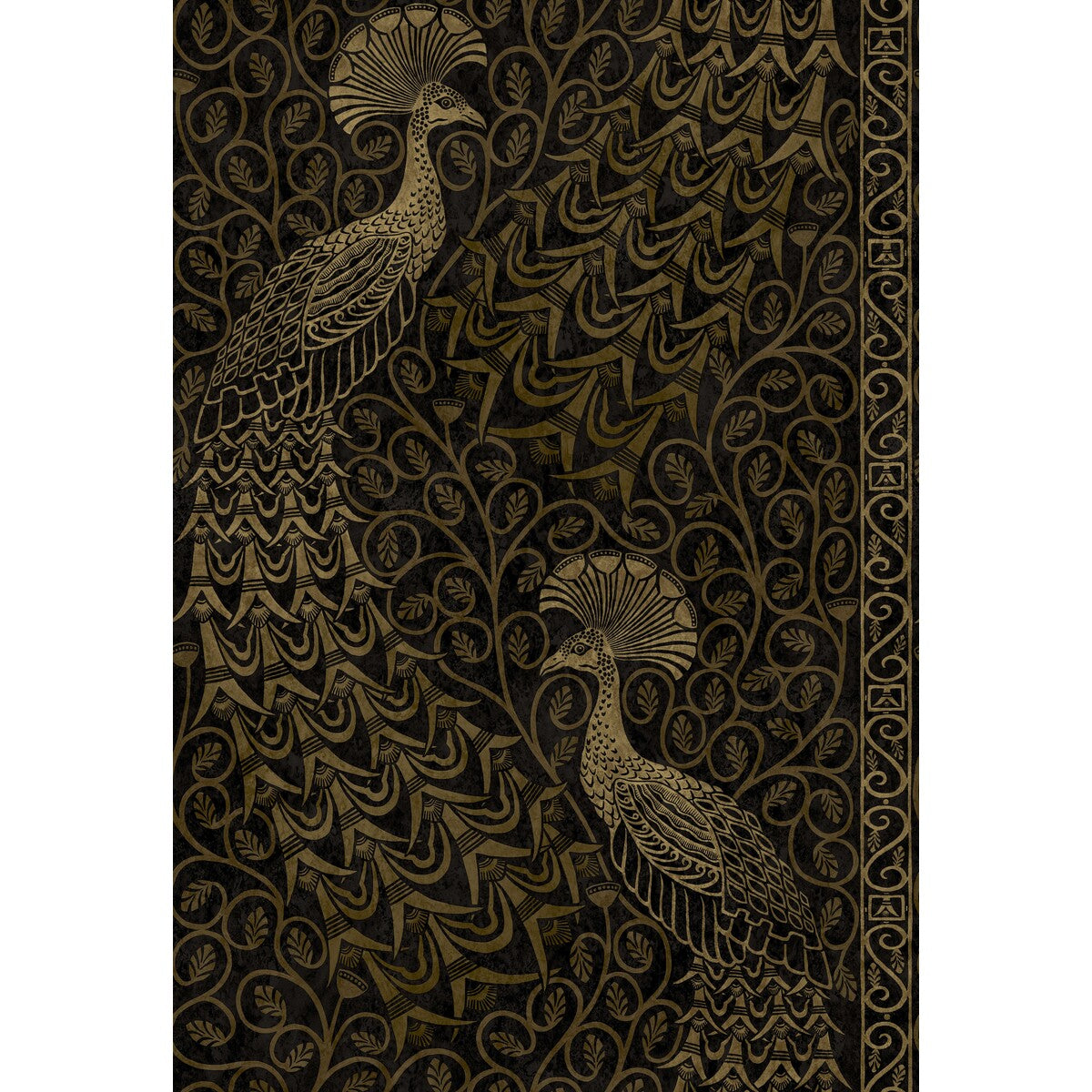 COLE & SON 116/8032.CS.0 PAVO PARADE M GOLD/SOOT Wallpaper - Eade's Wallpaper