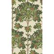 COLE & SON 117/1001.CS.0 ORANGE BLOSSOM ORANGE & SPRING GREEN/PARCH Wallpaper - Eade's Wallpaper