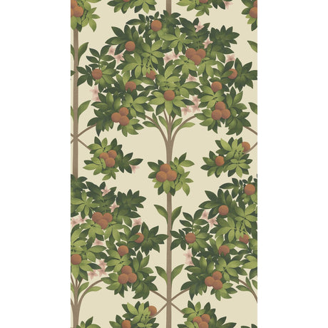 COLE & SON 117/1001.CS.0 ORANGE BLOSSOM ORANGE & SPRING GREEN/PARCH Wallpaper - Eade's Wallpaper