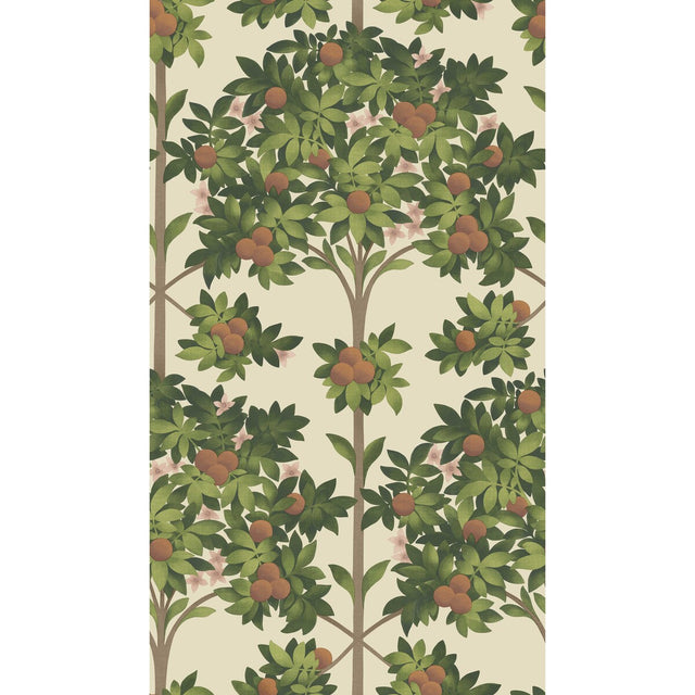 COLE & SON 117/1001.CS.0 ORANGE BLOSSOM ORANGE & SPRING GREEN/PARCH Wallpaper - Eade's Wallpaper