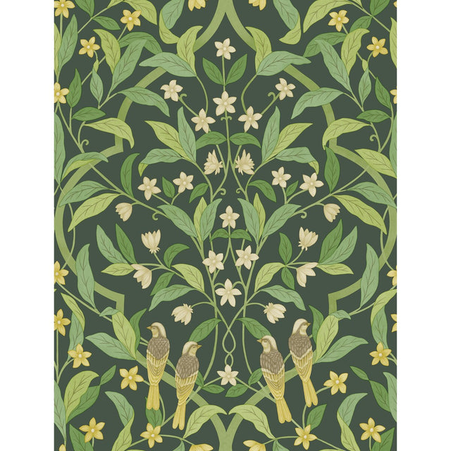 COLE & SON 117/10029.CS.0 JASMINE & SERIN SYMPHONY YELLOW/GRN/FOREST Wallpaper - Eade's Wallpaper