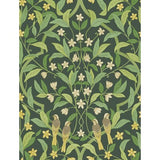 COLE & SON 117/10029.CS.0 JASMINE & SERIN SYMPHONY YELLOW/GRN/FOREST Wallpaper - Eade's Wallpaper