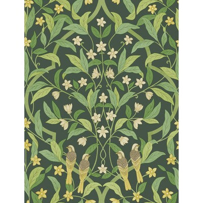 COLE & SON 117/10029.CS.0 JASMINE & SERIN SYMPHONY YELLOW/GRN/FOREST Wallpaper - Eade's Wallpaper