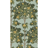 COLE & SON 117/1002.CS.0 ORANGE BLOSSOM LEMON/DK OLIVE GRN/DUCK EGG Wallpaper - Eade's Wallpaper