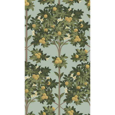 COLE & SON 117/1002.CS.0 ORANGE BLOSSOM LEMON/DK OLIVE GRN/DUCK EGG Wallpaper - Eade's Wallpaper