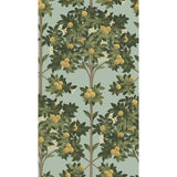 COLE & SON 117/1002.CS.0 ORANGE BLOSSOM LEMON/DK OLIVE GRN/DUCK EGG Wallpaper - Eade's Wallpaper