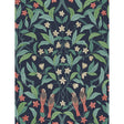 COLE & SON 117/10030.CS.0 JASMINE & SERIN SYMPHONY CORAL/PETROL/INK Wallpaper - Eade's Wallpaper