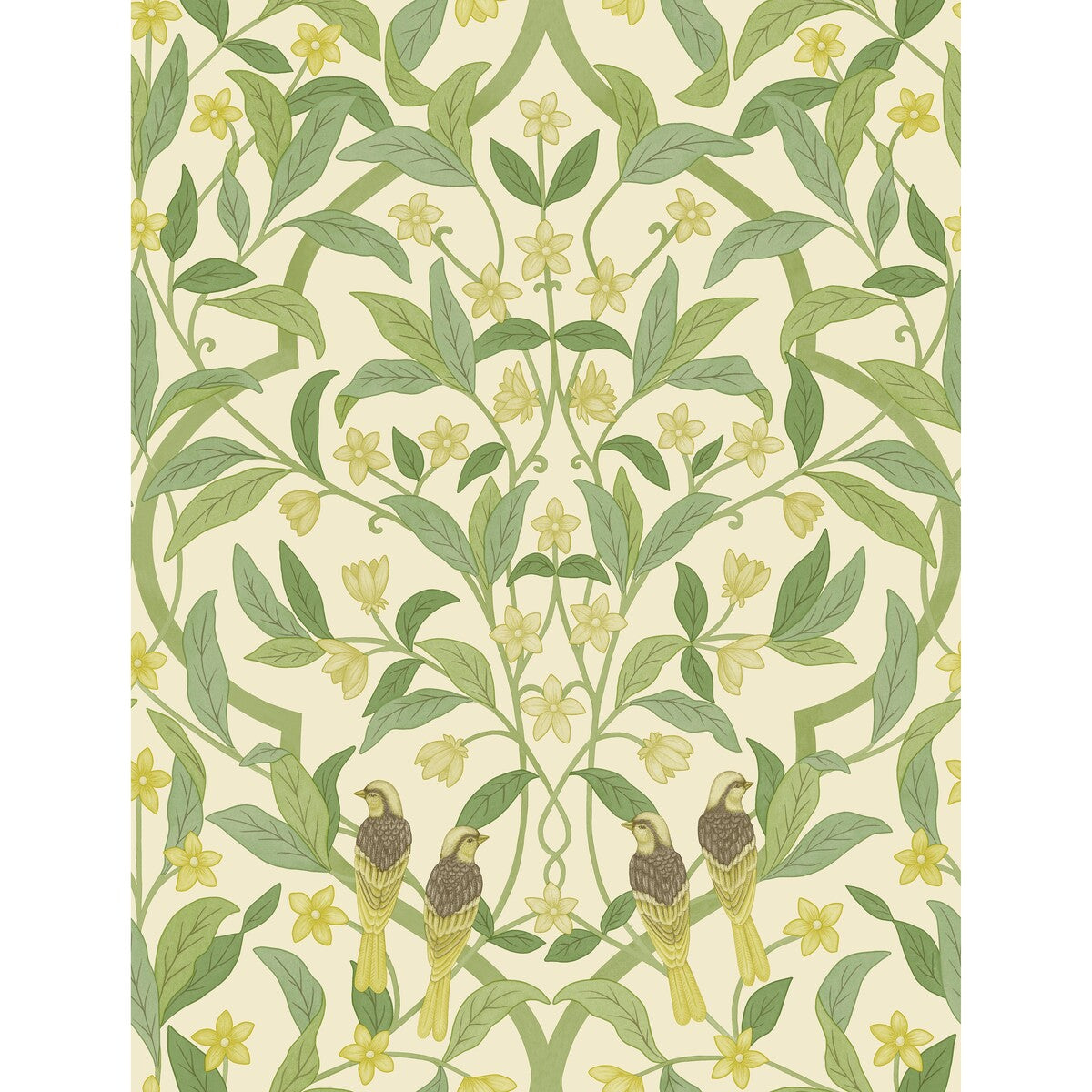 COLE & SON 117/10031.CS.0 JASMINE & SERIN SYMPHONY CHARTREUSE/GRN/WT Wallpaper - Eade's Wallpaper