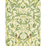 COLE & SON 117/10031.CS.0 JASMINE & SERIN SYMPHONY CHARTREUSE/GRN/WT Wallpaper - Eade's Wallpaper