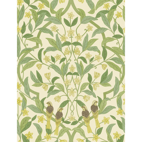 COLE & SON 117/10031.CS.0 JASMINE & SERIN SYMPHONY CHARTREUSE/GRN/WT Wallpaper - Eade's Wallpaper