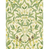 COLE & SON 117/10031.CS.0 JASMINE & SERIN SYMPHONY CHARTREUSE/GRN/WT Wallpaper - Eade's Wallpaper