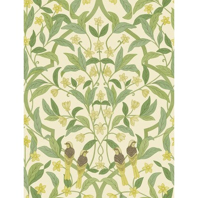 COLE & SON 117/10031.CS.0 JASMINE & SERIN SYMPHONY CHARTREUSE/GRN/WT Wallpaper - Eade's Wallpaper
