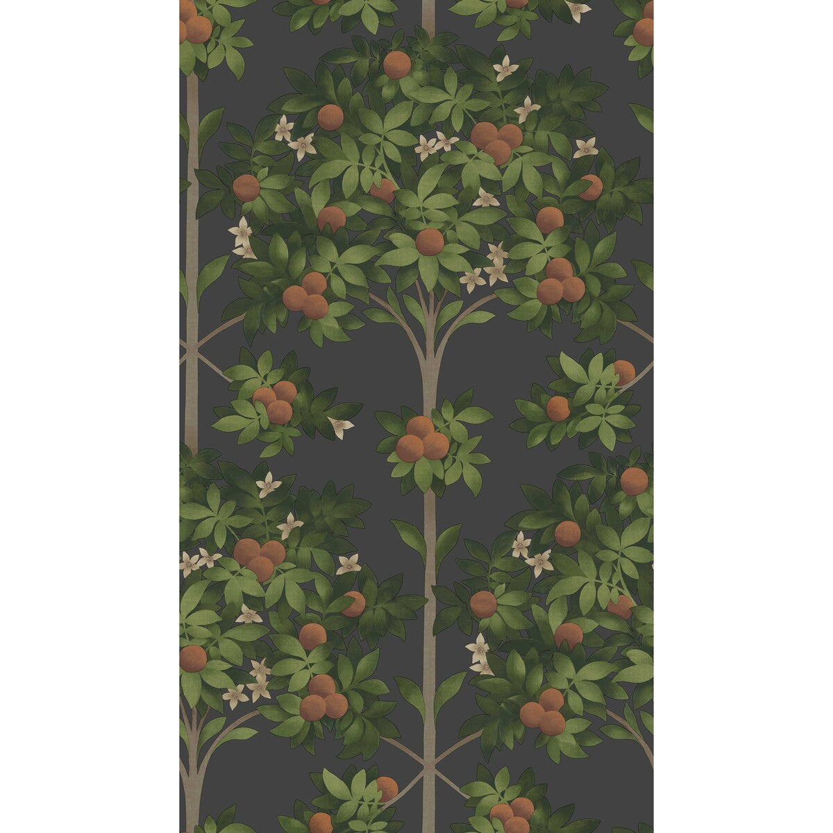 COLE & SON 117/1003.CS.0 ORANGE BLOSSOM ORANGE & SPRING GREEN/BLACK Wallpaper - Eade's Wallpaper