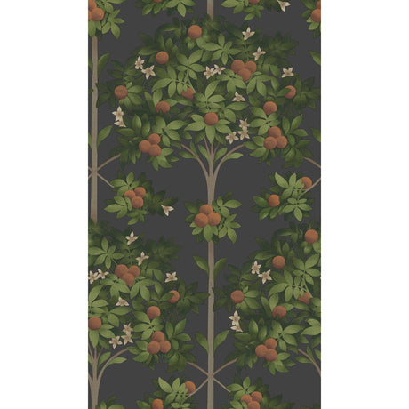COLE & SON 117/1003.CS.0 ORANGE BLOSSOM ORANGE & SPRING GREEN/BLACK Wallpaper - Eade's Wallpaper
