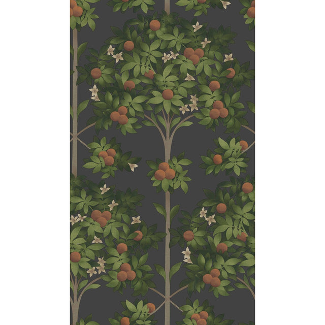 COLE & SON 117/1003.CS.0 ORANGE BLOSSOM ORANGE & SPRING GREEN/BLACK Wallpaper - Eade's Wallpaper