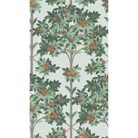 COLE & SON 117/1004.CS.0 ORANGE BLOSSOM BURNT ORANGE/MINT/SEAFOAM Wallpaper - Eade's Wallpaper