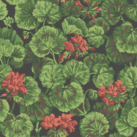 COLE & SON 117/11033.CS.0 GERANIUM ROUGE & LEAF GREENS ON BLACK Wallpaper - Eade's Wallpaper