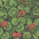 COLE & SON 117/11033.CS.0 GERANIUM ROUGE & LEAF GREENS ON BLACK Wallpaper - Eade's Wallpaper