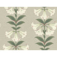 COLE & SON 117/3007.CS.0 ANGELS TRUMPET CHALK & SAGE ON STONE Wallpaper - Eade's Wallpaper
