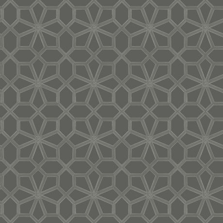 COLE & SON 118/16037.CS.0 WOLSEY STARS CHALK/CHARCL Wallpaper - Eade's Wallpaper