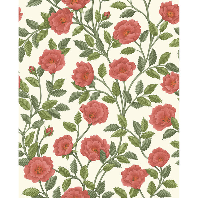 COLE & SON 118/7013.CS.0 HAMPTON ROSES R&SGRN/PMNT Wallpaper - Eade's Wallpaper