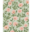 COLE & SON 118/7014.CS.0 HAMPTON ROSES R&LGRN/DEGG Wallpaper - Eade's Wallpaper