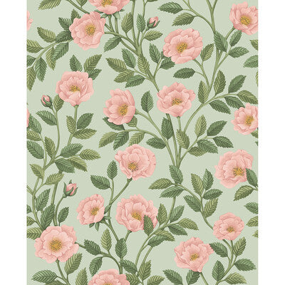 COLE & SON 118/7014.CS.0 HAMPTON ROSES R&LGRN/DEGG Wallpaper - Eade's Wallpaper