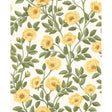 COLE & SON 118/7015.CS.0 HAMPTON ROSES MRG&OGRN/WH Wallpaper - Eade's Wallpaper