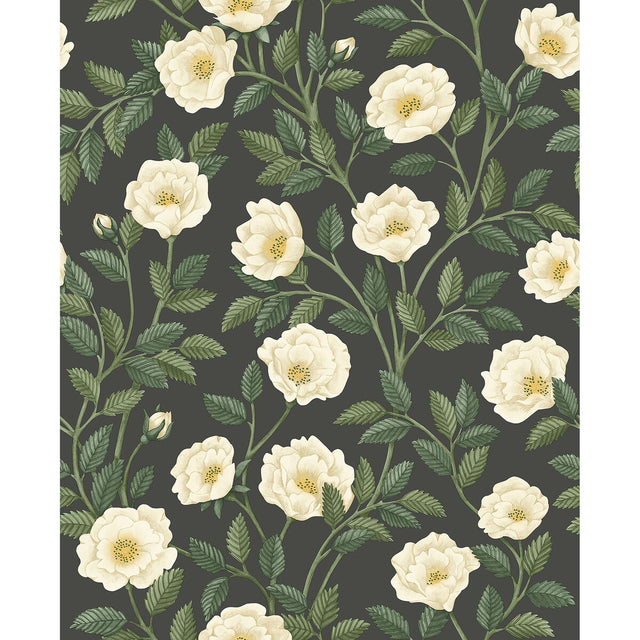 COLE & SON 118/7016.CS.0 HAMPTON ROSES CRM&FGRN/CH Wallpaper - Eade's Wallpaper
