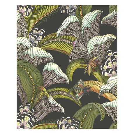 COLE & SON 119/1002.CS.0 HOOPOE LEAVES OLIVE BLACK Wallpaper - Eade's Wallpaper
