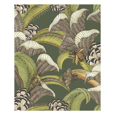 COLE & SON 119/1003.CS.0 HOOPOE LEAVES SPRING GREEN AND CORAL Wallpaper - Eade's Wallpaper