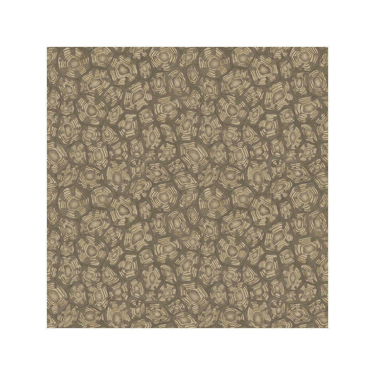COLE & SON 119/4020.CS.0 SAVANNA SHELL GILVER Wallpaper - Eade's Wallpaper
