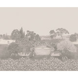 COLE & SON 120/1002.CS.0 IDYLL PLATINUM MATTE Wallpaper - Eade's Wallpaper