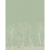 COLE & SON 120/6021.CS.0 SEASONAL WOODS OLIVE Wallpaper - Eade's Wallpaper