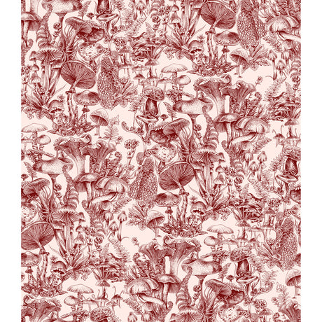 COLE & SON 122/1001.CS.0 FUNGI FOREST BURGUNDY Wallpaper - Eade's Wallpaper