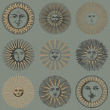 COLE & SON 123/1003.CS.0 SOLI SAGE & ROSE GOLD Wallpaper - Eade's Wallpaper