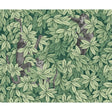 COLE & SON 123/10049.CS.0 FOGLIE E SCIMMIE GREEN Wallpaper - Eade's Wallpaper