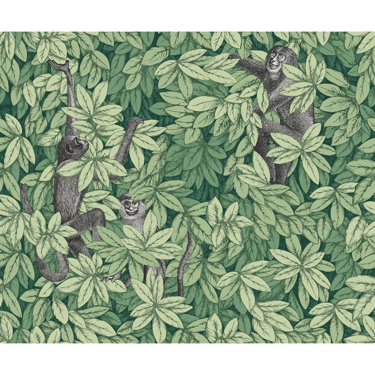COLE & SON 123/10049.CS.0 FOGLIE E SCIMMIE GREEN Wallpaper - Eade's Wallpaper