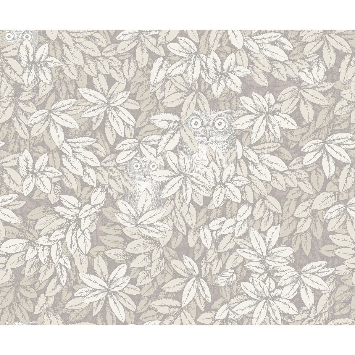 COLE & SON 123/11052.CS.0 FOGLIE E CIVETTE WHITE Wallpaper - Eade's Wallpaper