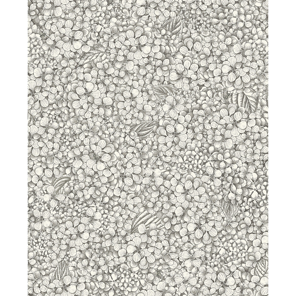COLE & SON 123/9043.CS.0 ORTENSIA BLACK & WHITE Wallpaper - Eade's Wallpaper