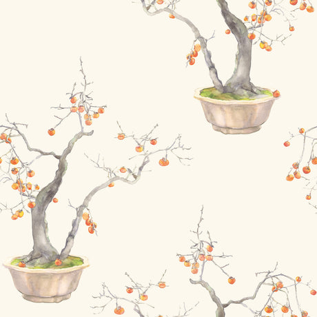 COLE & SON KAKI PERSIMMON 126/2003.CS.0 in BERGAMOT Wallpape