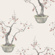 COLE & SON KAKI PERSIMMON 126/2004.CS.0 in SILVER Wallpaper 
