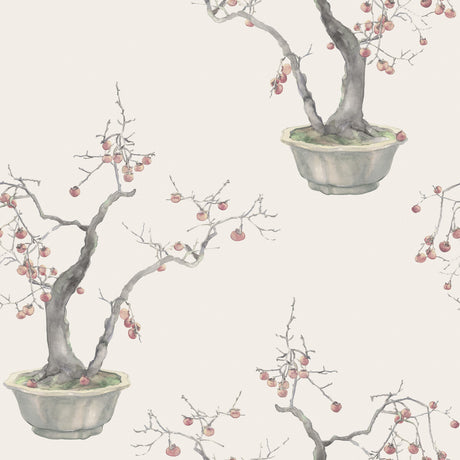 COLE & SON KAKI PERSIMMON 126/2004.CS.0 in SILVER Wallpaper 