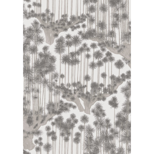 COLE & SON JAPANESE WOODS 126/6019.CS.0 in IRON Wallpaper - 