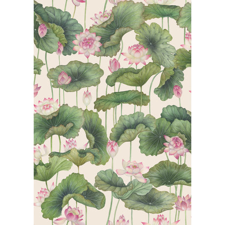 COLE & SON LILY LOTUS 126/9031.CS.0 in PINK Wallpaper - COLE