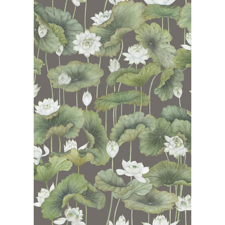 COLE & SON LILY LOTUS 126/9033.CS.0 in WHITE/CHARCOAL  Wallp