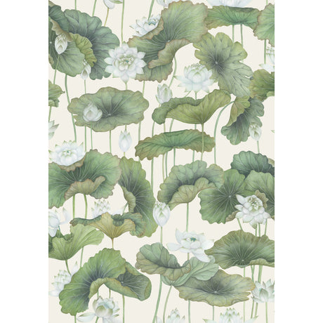 COLE & SON LILY LOTUS 126/9034.CS.0 in WHITE/CREAM Wallpaper