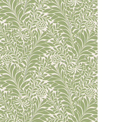 COLE & SON HONEYSUCKLE 127/5024.CS.0 in SPRING GREEN Wallpap