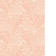 COLE & SON HONEYSUCKLE 127/5027.CS.0 in BLUSH Wallpaper - CO
